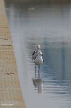 20100501_155.jpg