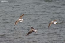 20100501_263.jpg