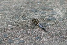 20100502_001.jpg