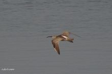 20100504_014.jpg