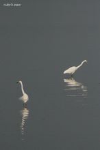 20100504_032.jpg