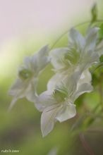 20100517_14422.jpg
