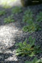 20100517_14426.jpg