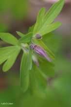 20100517_14443.jpg
