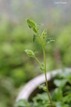 20100517_14491.jpg