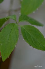 20100523_14601.jpg