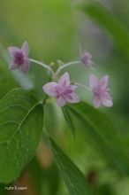 20100523_14609.jpg