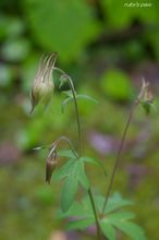 20100524_14613.jpg