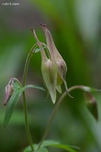 20100524_14624.jpg