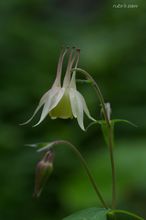 20100524_14630.jpg