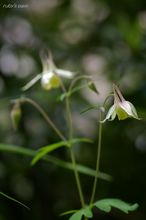 20100525_14674.jpg