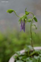 20100528_14709.jpg