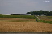 20100529_009.jpg