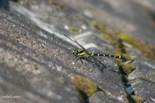 20100529_056.jpg