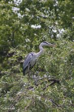 20100529_089.jpg