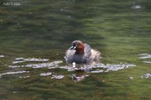 20100529_113.jpg