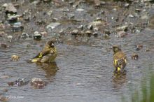 20100529_146.jpg