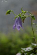 20100529_14713.jpg