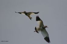 20100530_038.jpg