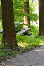 20100605_106.jpg