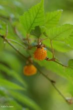 20100605_132.jpg