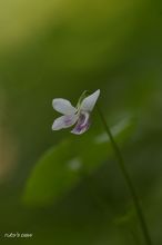 20100605_146.jpg