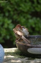 20100617_18234.jpg