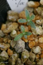20100622_188.jpg