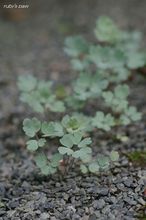 20100622_206.jpg