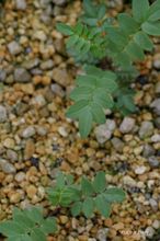 20100622_234.jpg