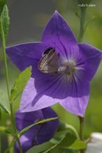 20100707_18412.jpg