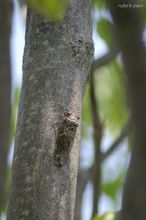 20100707_18439.jpg