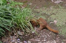 20100709_038.jpg