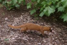 20100709_045.jpg