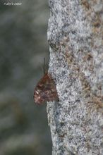 20100710_022.jpg