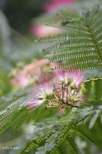 20100710_032.jpg