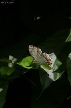 20100710_059.jpg