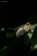 20100710_061.jpg
