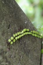 20100710_074.jpg
