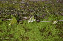 20100710_078.jpg