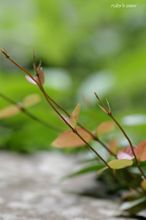 20100710_085.jpg