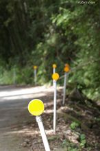 20100710_097.jpg