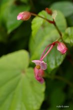 20100713_066.jpg