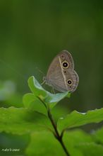 20100713_18526.jpg