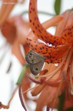 20100713_18539.jpg