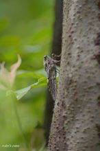 20100715_18578.jpg