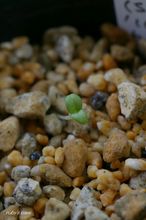 20100719_099.jpg