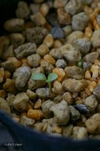 20100719_116.jpg