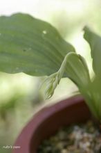 20100722_145.jpg