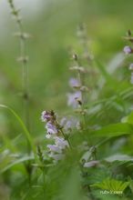 20100801_042.jpg